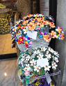 IMG_1211 copy